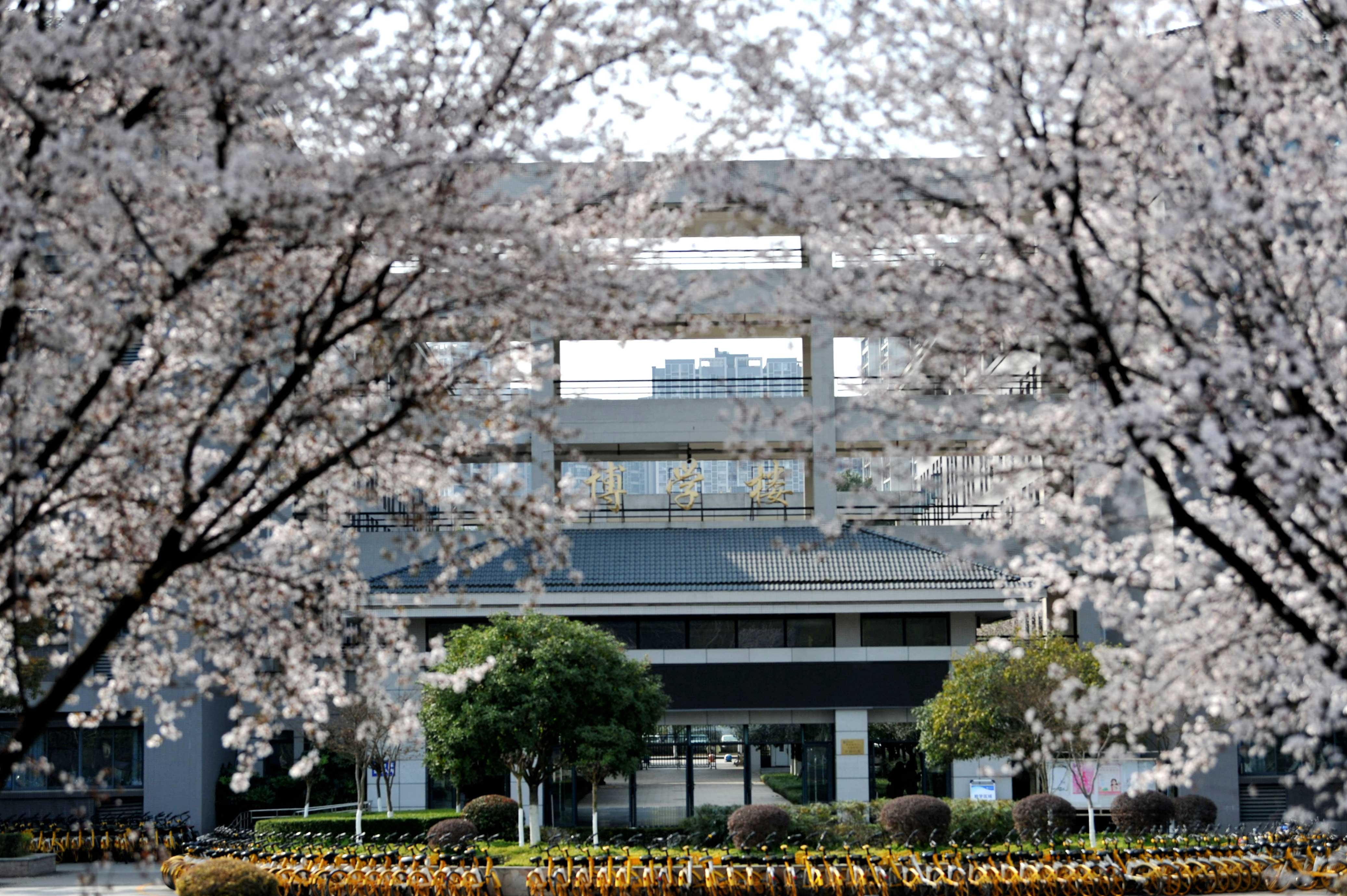 Explore Your Passions